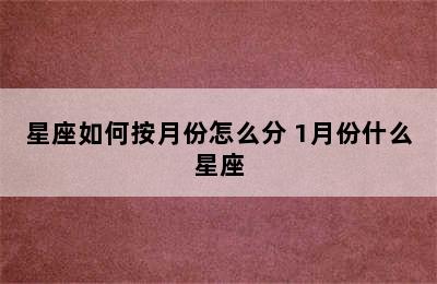 星座如何按月份怎么分 1月份什么星座